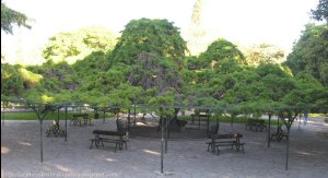 Jardim do Príncipe Real