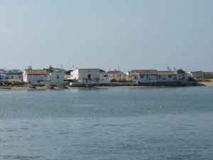 Ilha da Culatra
