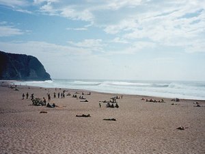 Praia Grande