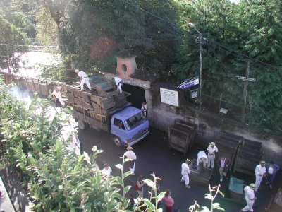 Monte: Descarga dos carros de cesto
