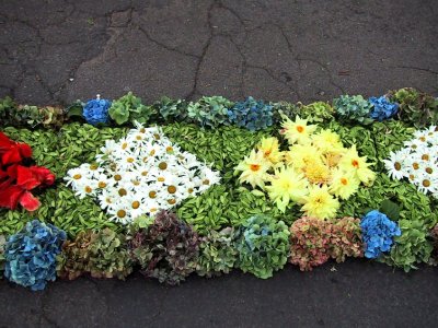 Camacha: Tapete de flores