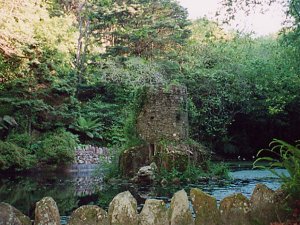 Jardim da Pena