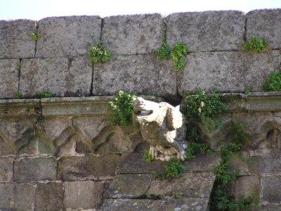 Sé Catedral: Claustro