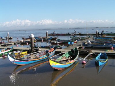 Barcos moliceiros
