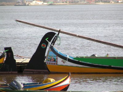 Barcos moliceiros