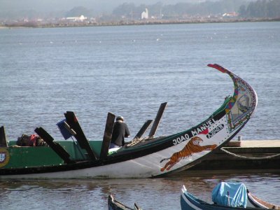 Barcos moliceiros