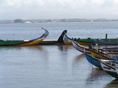 Barcos moliceiros