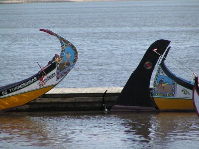 Barcos moliceiros