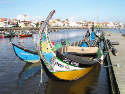 Barcos moliceiros