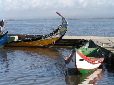 Barcos moliceiros