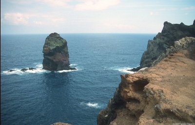 Ponta de São Lourenço