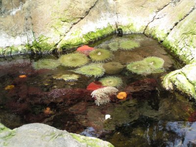 Oceanário de Lisboa