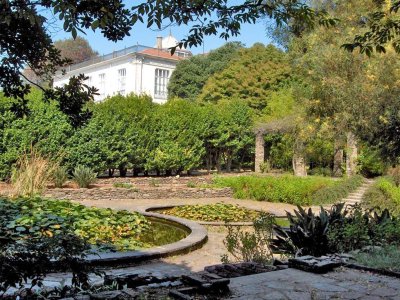Jardim Botânico
