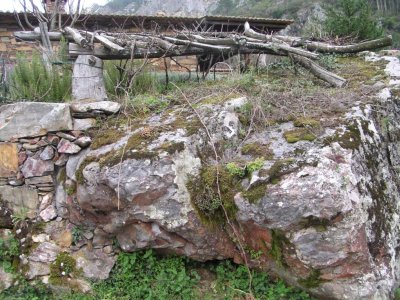Pena