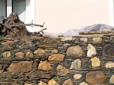 Pena