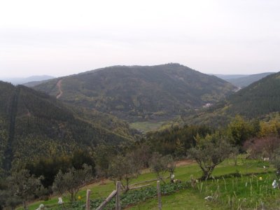 Comareira