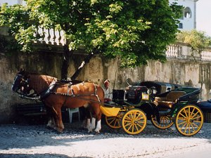 Charretes