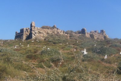 Ilha do Pessegueiro: Forte da Senhora da Queimada