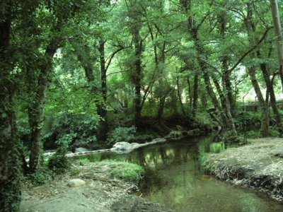Fragas de São Simão