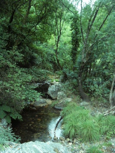 Fragas de São Simão