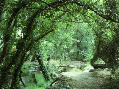 Fragas de São Simão