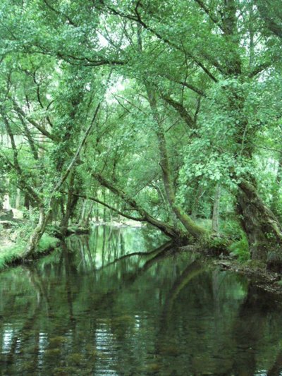 Fragas de São Simão