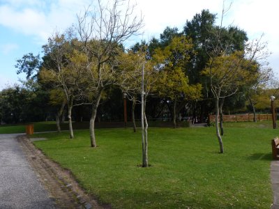 Parque da Serafina